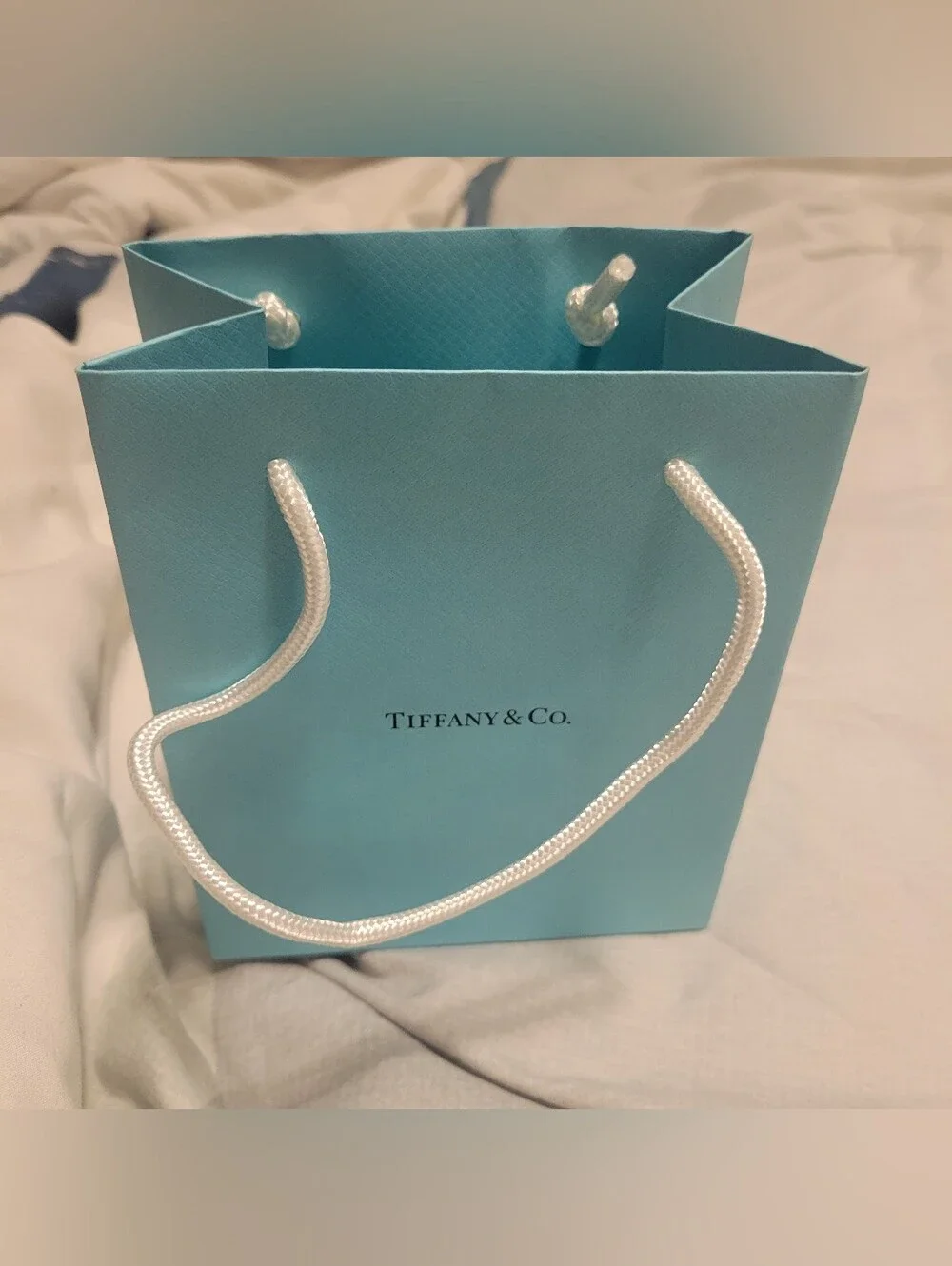 Tiffany & Co. Luxury Paper Gift Bag, Shopping Bag 6